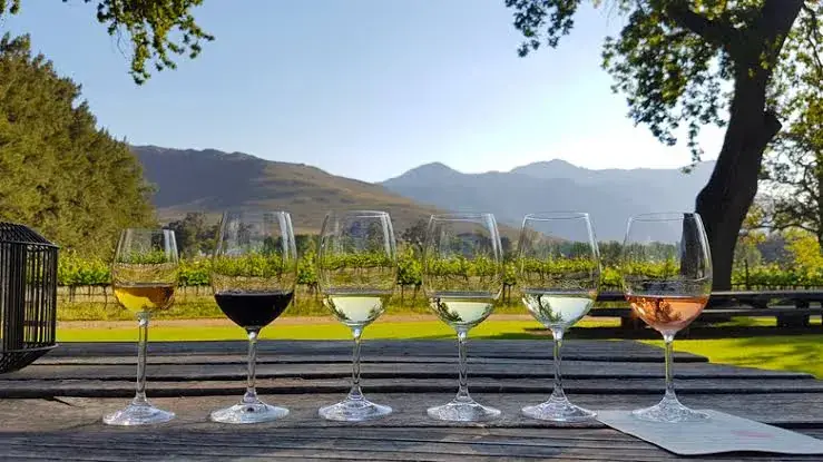 best wine tasting destinations usa