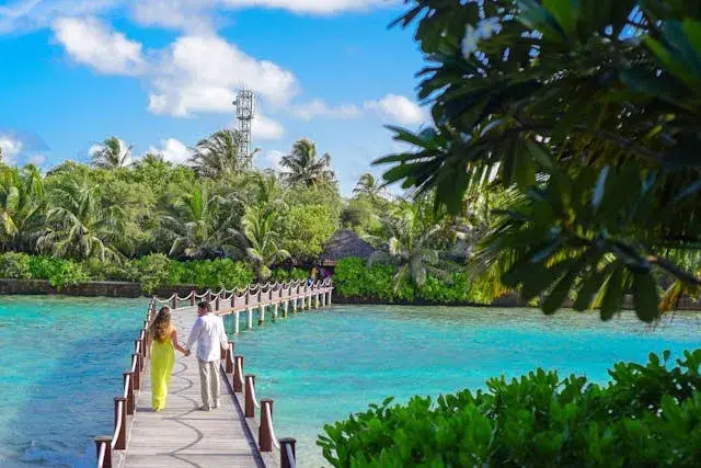 Financial Engineering Manual: How to Plan Honeymoon on a Budget