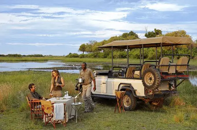 Top Couples Safari Options: Structural Analysis of Luxury Wilderness Travel